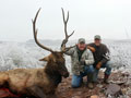 Texas Elk