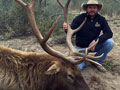 Texas Elk