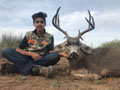 MGT Mule Deer