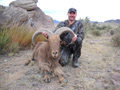 Aoudad