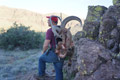 Aoudad