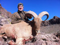 Aoudad