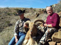 Aoudad