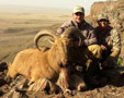 Aoudad