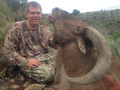 Aoudad