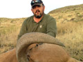 Aoudad