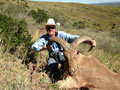 Aoudad