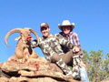 Aoudad