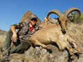 Aoudad