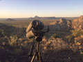 Aoudad