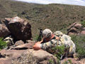 Aoudad