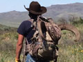 Aoudad