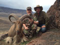 Aoudad