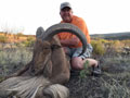 Aoudad