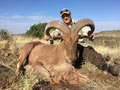 Aoudad