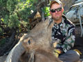 Aoudad