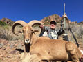 Aoudad