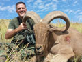 Aoudad