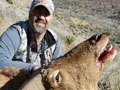 Aoudad