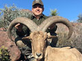 Aoudad