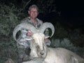 Aoudad