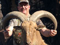 Aoudad