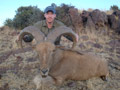 Aoudad