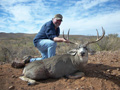 MGT Mule Deer