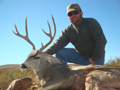 MGT Mule Deer