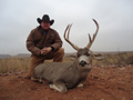 MGT Mule Deer