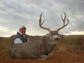 MGT Mule Deer