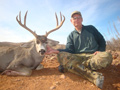 MGT Mule Deer