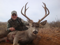 MGT Mule Deer