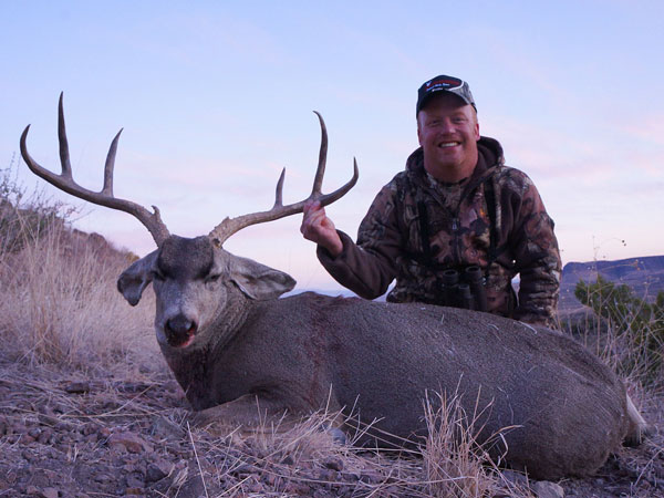 MGT Mule Deer