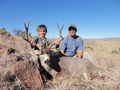 MGT Mule Deer