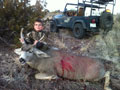 MGT Mule Deer