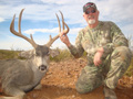 MGT Mule Deer