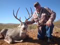 MGT Mule Deer