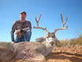 MGT Mule Deer