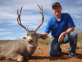 MGT Mule Deer