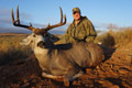 MGT Mule Deer