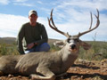 MGT Mule Deer