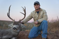 MGT Mule Deer