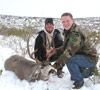 MGT Mule Deer