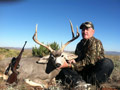 MGT Mule Deer