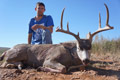 MGT Mule Deer