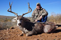 MGT Mule Deer