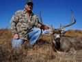 MGT Mule Deer