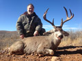 MGT Mule Deer