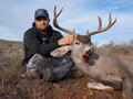 MGT Mule Deer